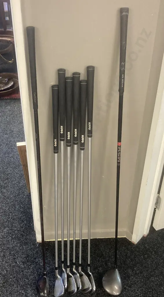 Callaway Big Bertha Titanium 10° Driver RCH 65w Firm Shaft, Hippo Hiptec Irons Set 5-PW, GolfGear TG-Tour 3 Wood, RH Image 1++