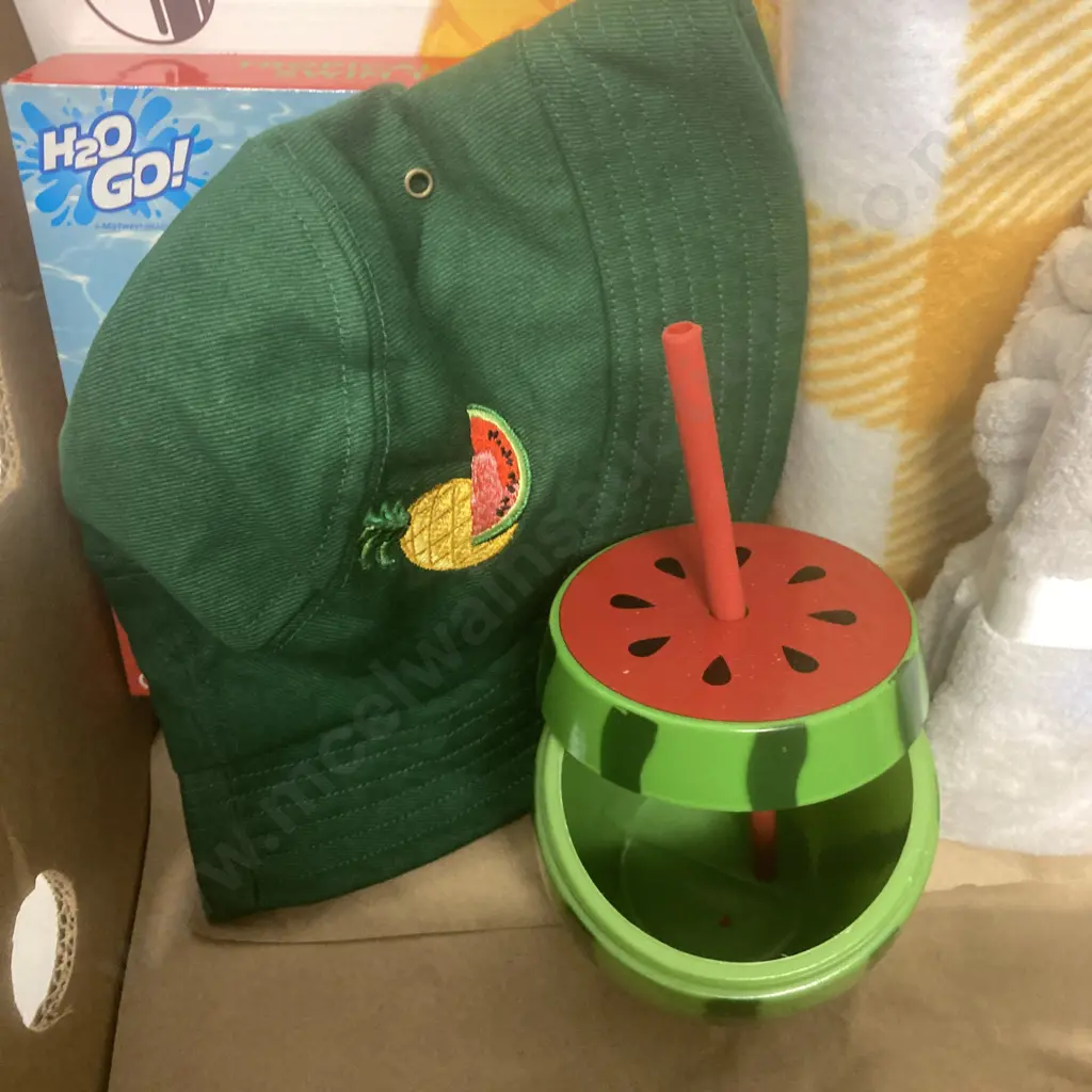 New Picnic Blanket, Floaties Etc Image 1++