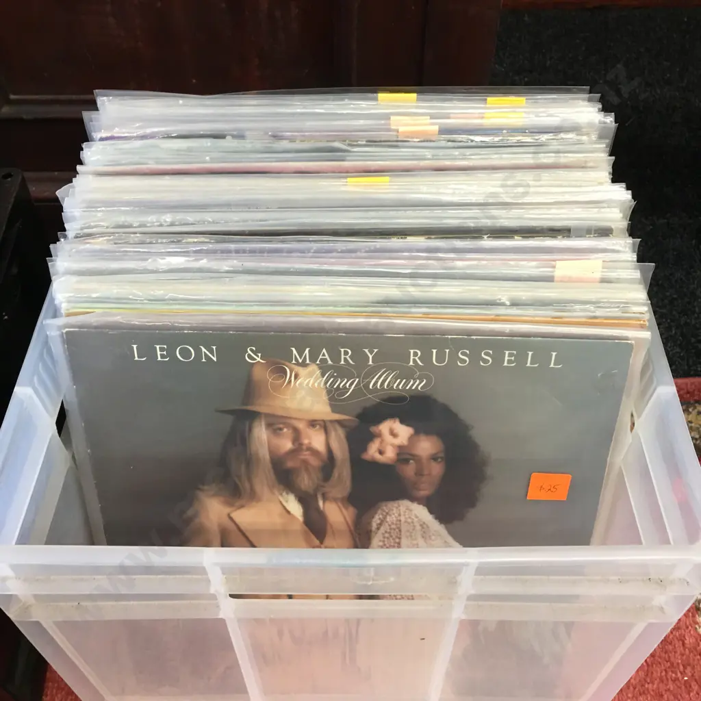 Clear Bin Of Assorted Lps Including The Rockers,The Long Ryders Etc Image 1++