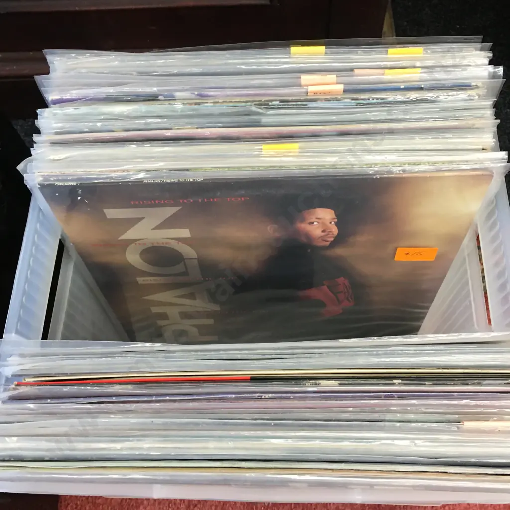 Clear Bin Of Assorted Lps Including The Rockers,The Long Ryders Etc Image 1++