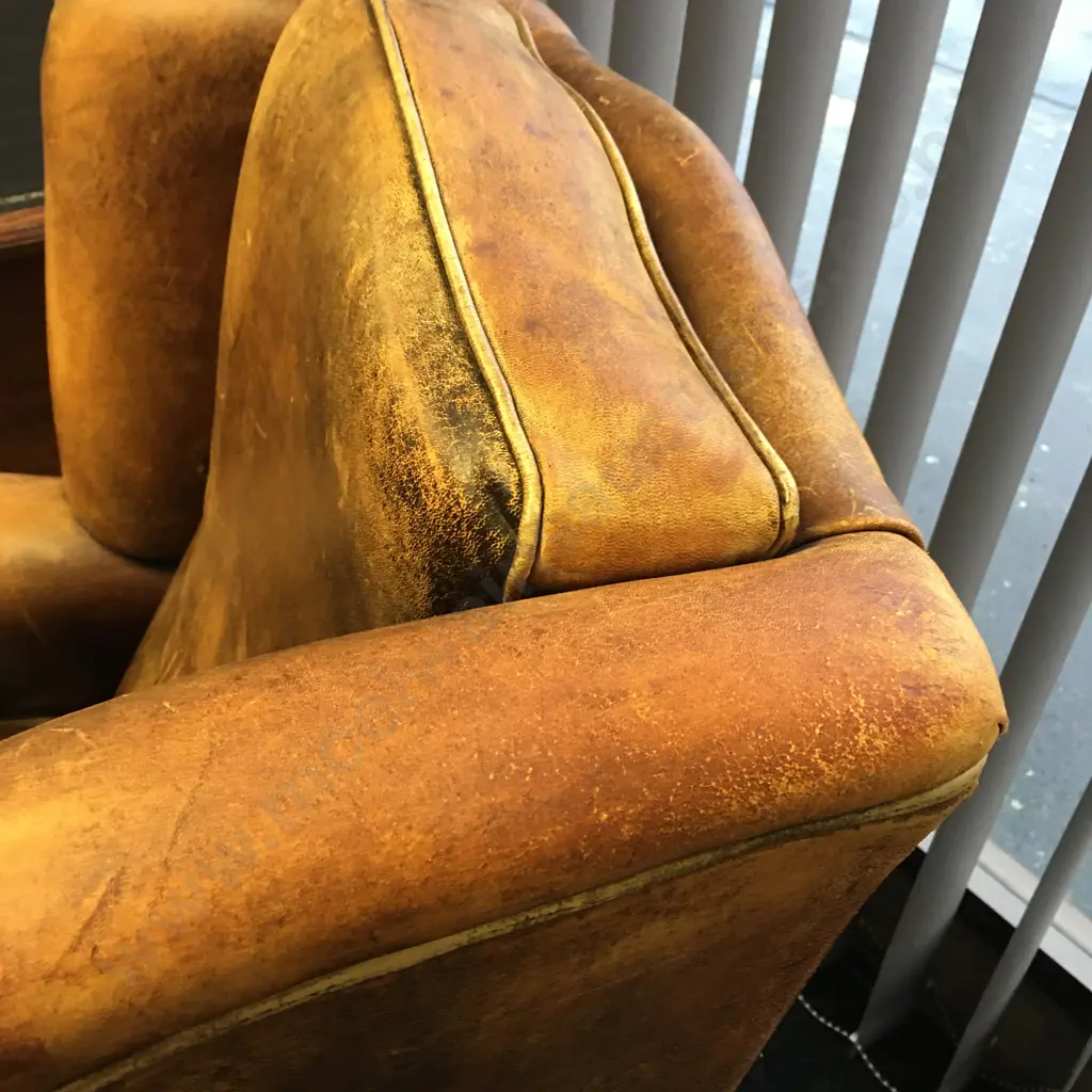 Vintage Netherlands Sheepskin Leather Wingback Chair Image 1++