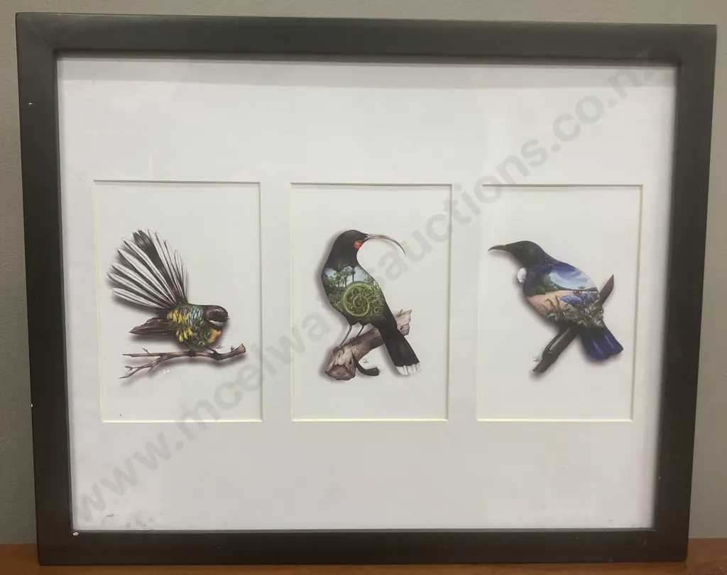 Sophie Blokker "Mounted Trio – NZ Natives Birds Eye View" Triptych - Fantail, NZ Huia & Tui. 34 x 42cm Image 1++
