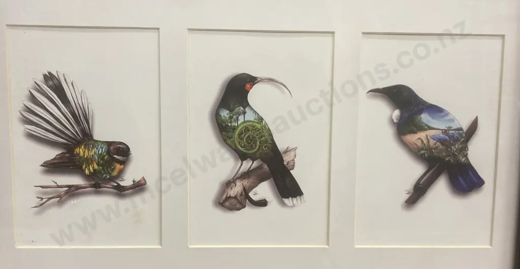 Sophie Blokker "Mounted Trio – NZ Natives Birds Eye View" Triptych - Fantail, NZ Huia & Tui. 34 x 42cm Image 1++
