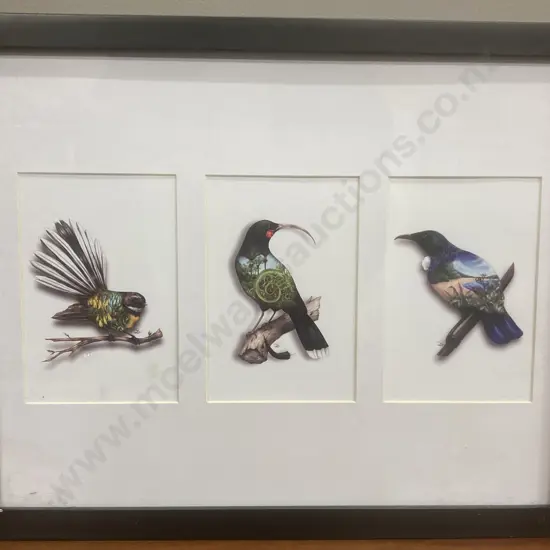 Sophie Blokker "Mounted Trio – NZ Natives Birds Eye View" Triptych - Fantail, NZ Huia & Tui. 34 x 42cm