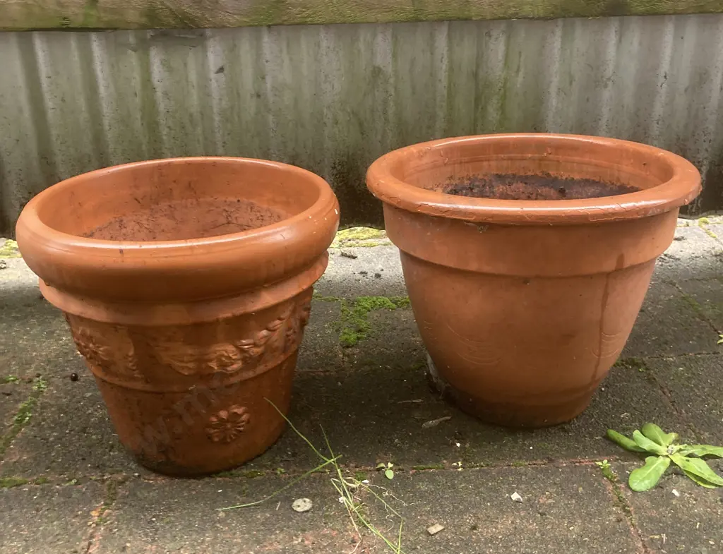 Italian Terracotta Planter & Another Terracotta Planter Image 1++