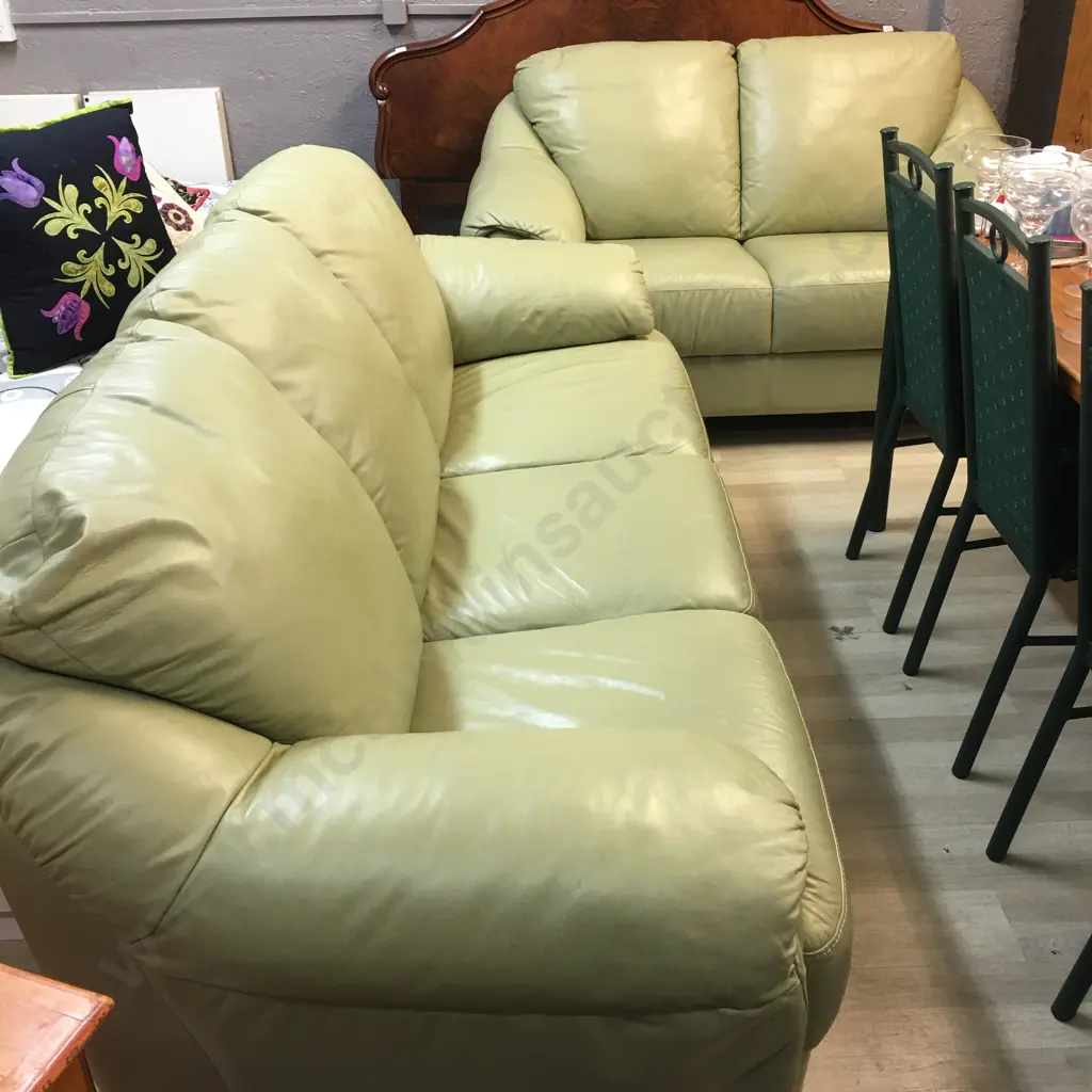 Natuzzi Sage Colour Leather 3+2 Lounge Suite, Black Turned Wooden Feet. Image 1++