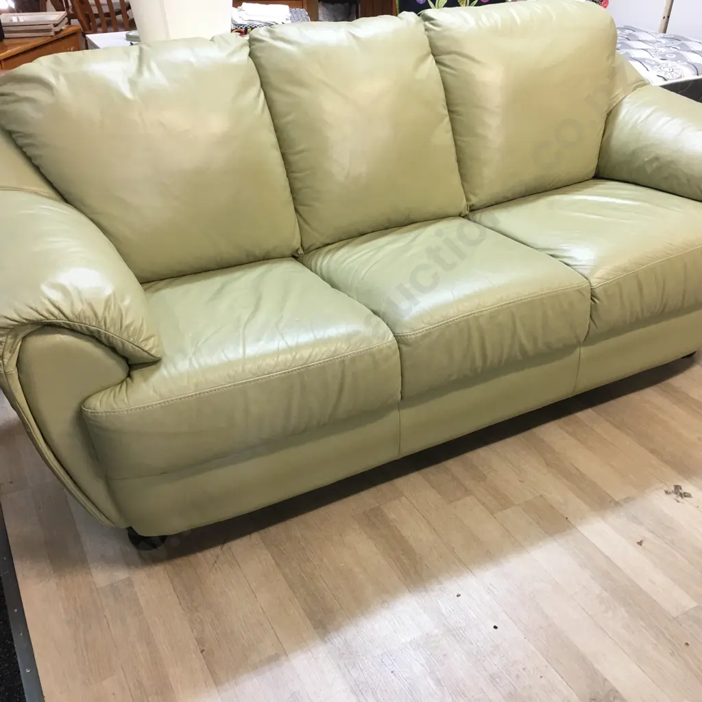 Natuzzi Sage Colour Leather 3+2 Lounge Suite, Black Turned Wooden Feet. Image 1++