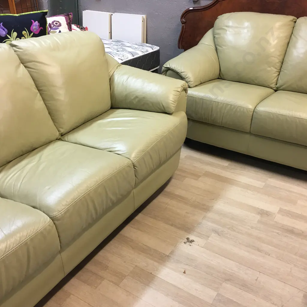 Natuzzi Sage Colour Leather 3+2 Lounge Suite, Black Turned Wooden Feet. Image 1++