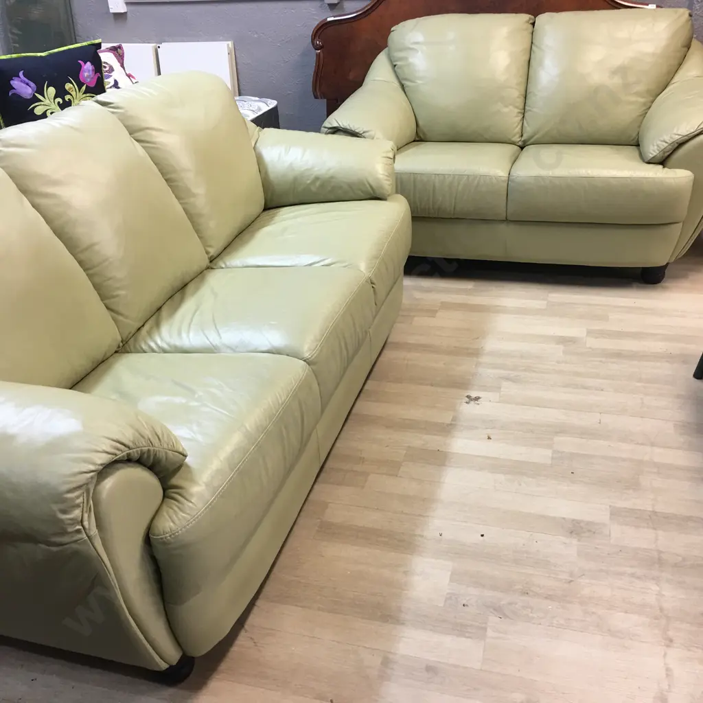 Natuzzi Sage Colour Leather 3+2 Lounge Suite, Black Turned Wooden Feet. Image 1++