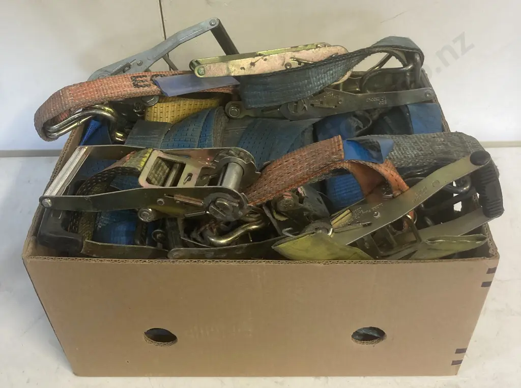 Box Lot Assorted Ratchet Tie Downs Image 1++
