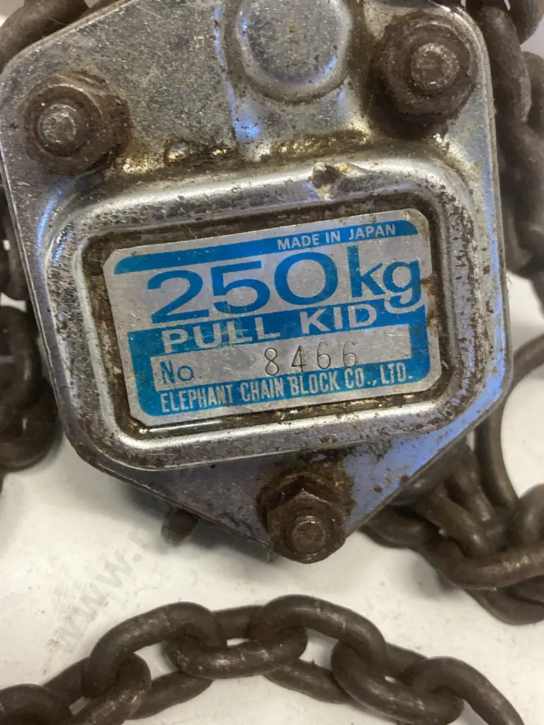 250Kg Pull Kid Chain Block - Elephant (Japan) Image 1++