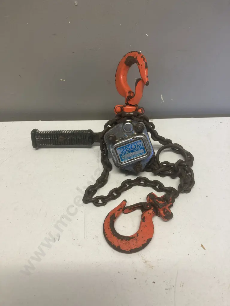 250Kg Pull Kid Chain Block - Elephant (Japan) Image 1++