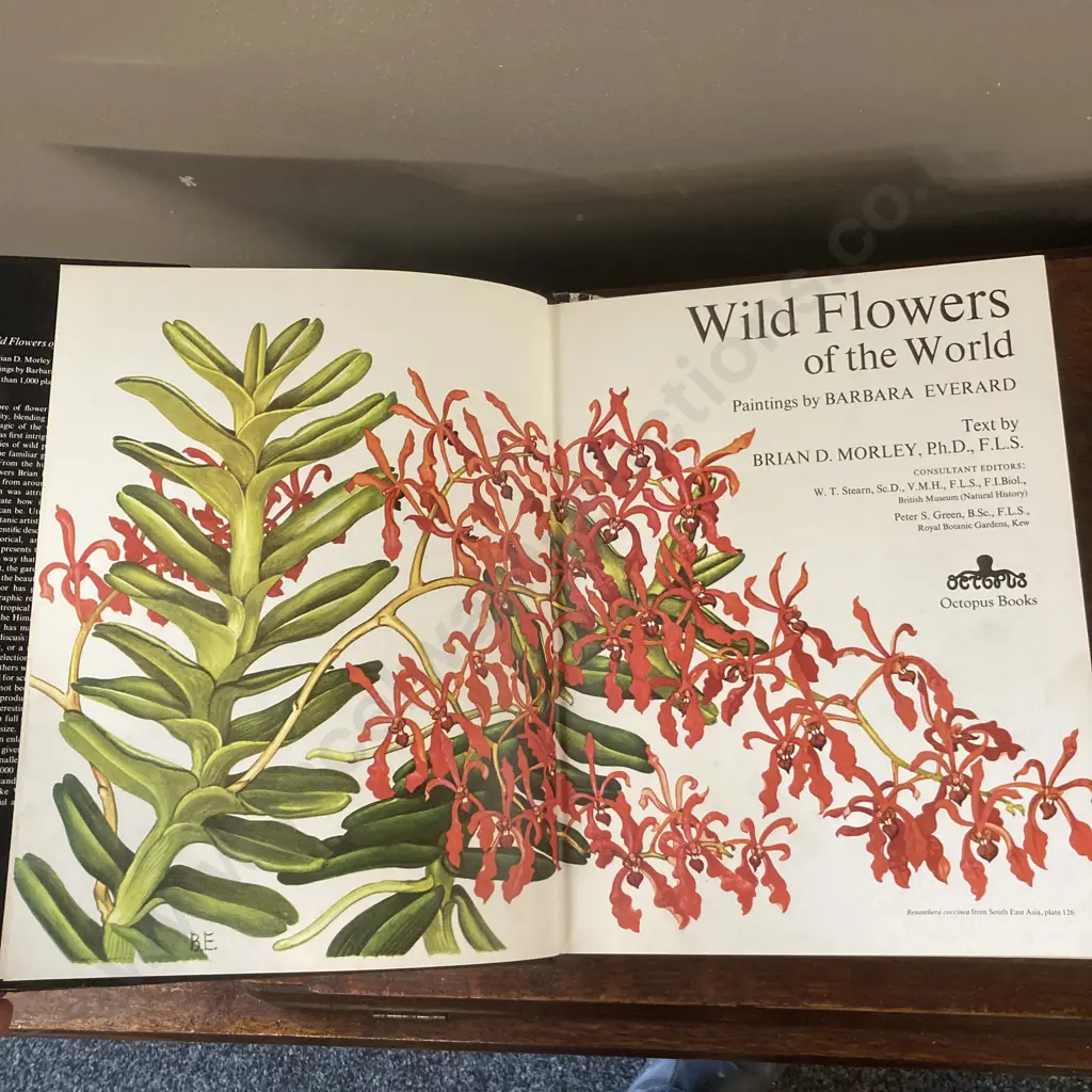 Wild Flowers of the World: Paintings by Barbara Everard, Text by Brian D. Morley Image 1++
