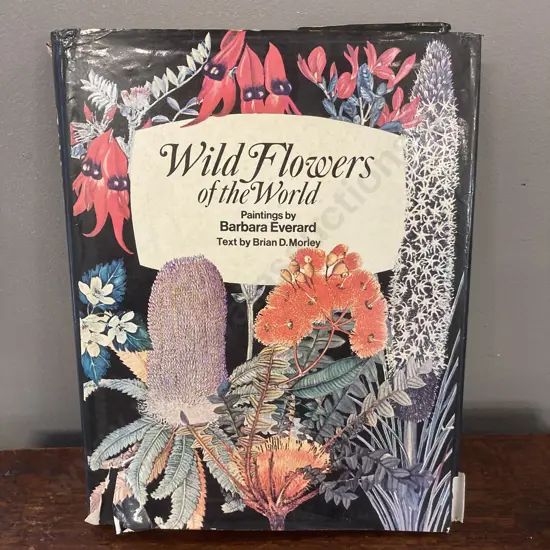 Wild Flowers of the World: Paintings by Barbara Everard, Text by Brian D. Morley