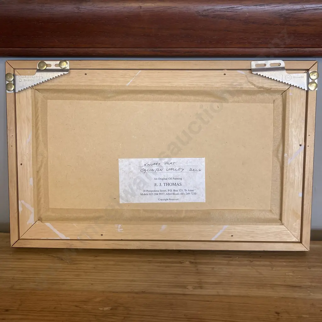 Original Oil Painting by E.J. Thomas - Knobbs Flat Eglinton Valley 2004', Signed. 21 x 34cm Image 1++
