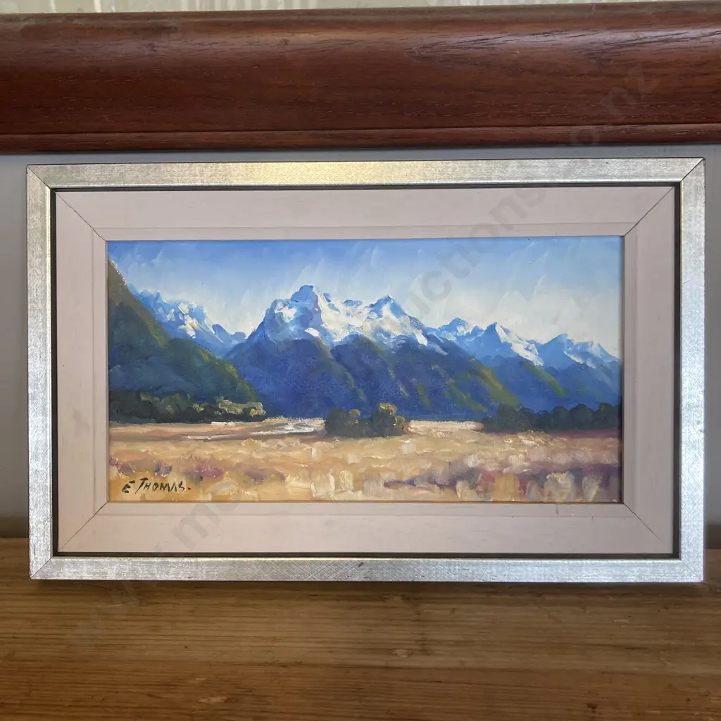 Original Oil Painting by E.J. Thomas - Knobbs Flat Eglinton Valley 2004', Signed. 21 x 34cm Image 1++
