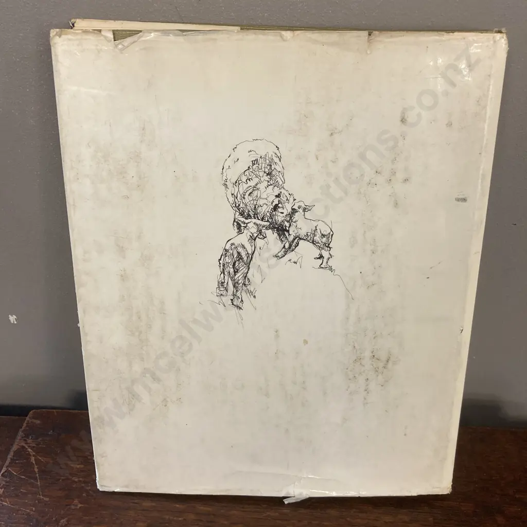 Peter McIntyre's New Zealand, 1965 Large Hardcover With Dust Jacket, AH & AW Reed NZ Image 1++