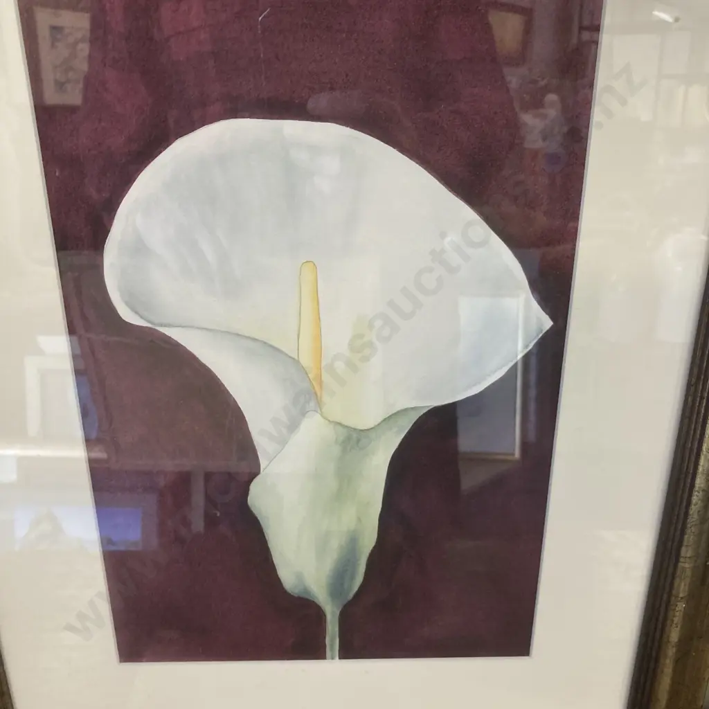 Jenny Morrison Water Colour - Lily, Signed. 56 x 45cm, Glazed Framed With 3 Framed Artworks Image 1++