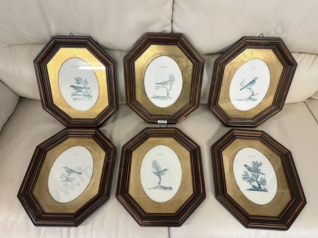 Six Octagonal Framed Copies of Old Italian Illustrations Small Passerines (16th - 17th century) Image 1++