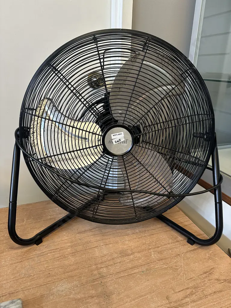 Black Mistral Floor Fan Model MFF50Y29BK, 200 W Image 1++