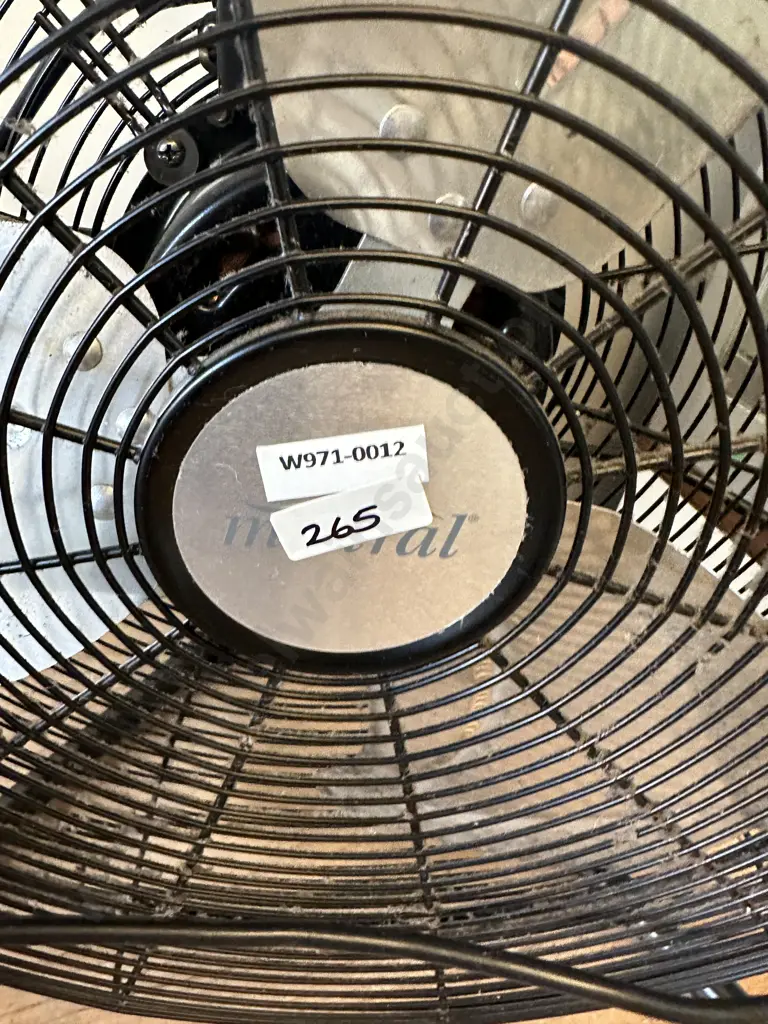 Black Mistral Floor Fan Model MFF50Y29BK, 200 W Image 1++
