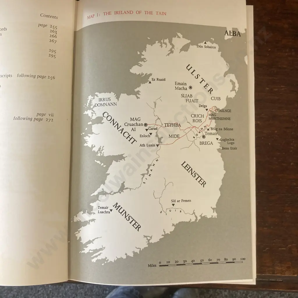 The Tain. Translated by Thomas Kinsella from the Irish with Brush Drawings by Louis Le Brocquy. Dolmen Editions IX Image 1++