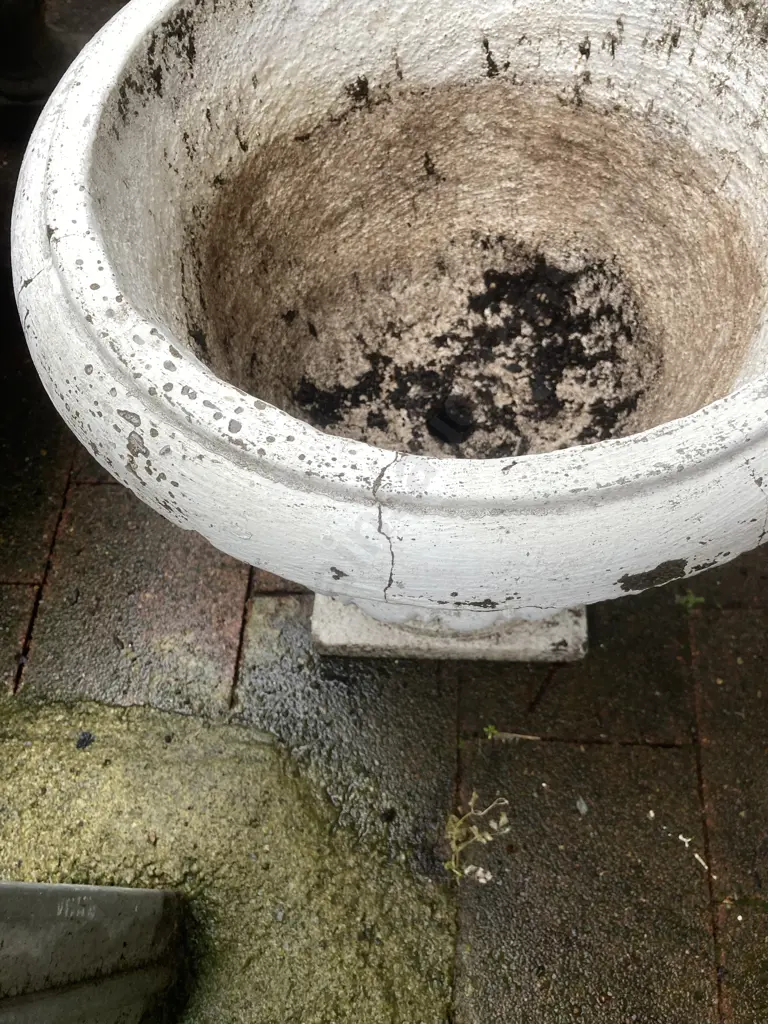 Concrete Urn On Pedestal Painted White. 47 x 42cm Image 1++