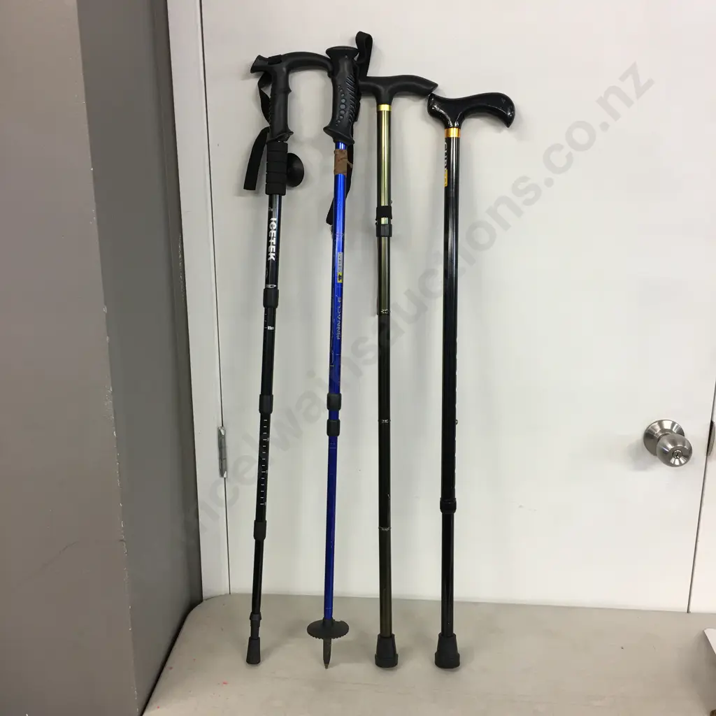 Selection Of Walking Aids Image 1++