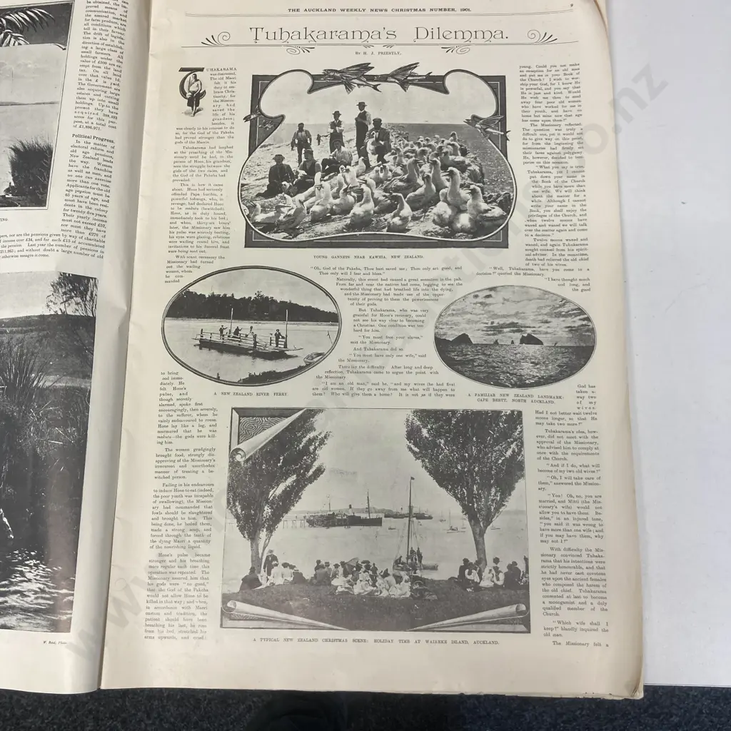 Antique Auckland Weekly News, Christmas Number 1901 Image 1++