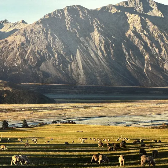 Picture On Canvas 'Rakaia River' H59,W100cm.