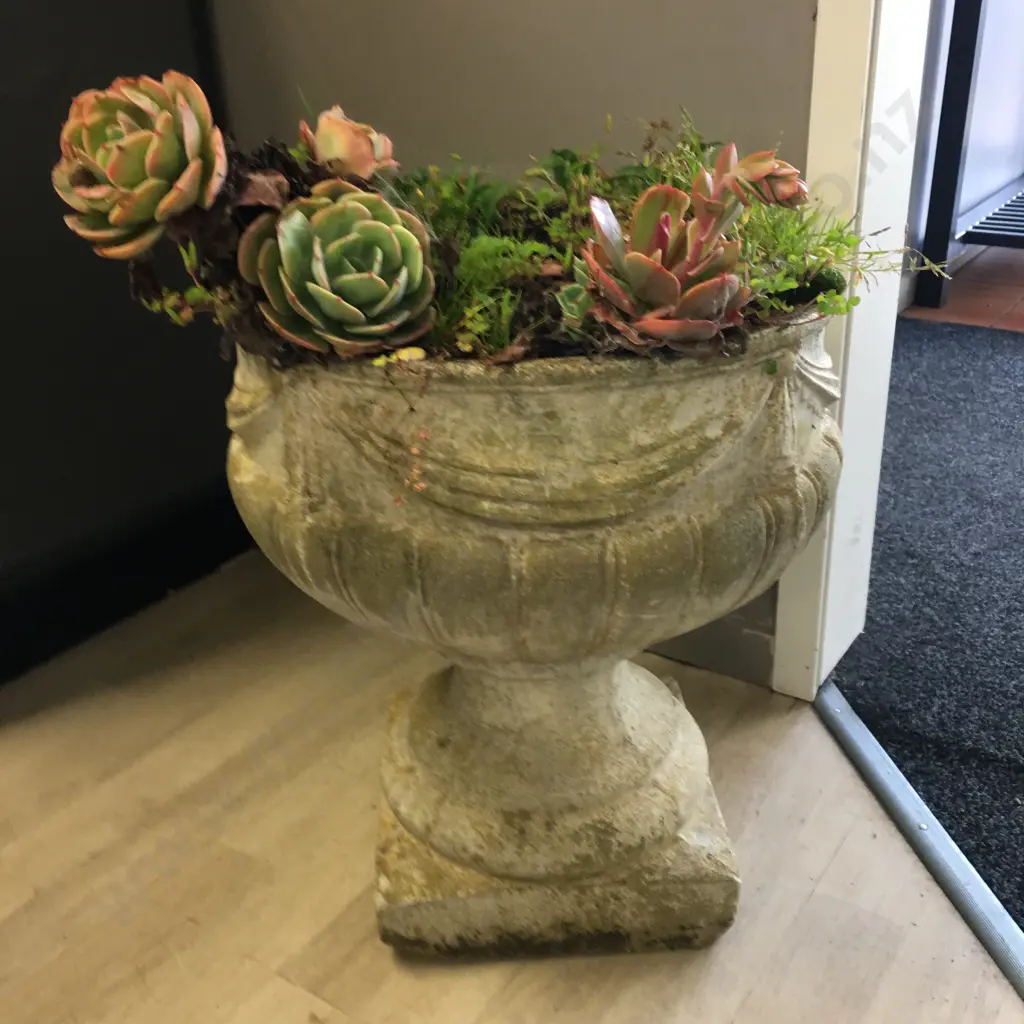 Vintage Concrete Planter With Succulents. 47 x 40cm Image 1++
