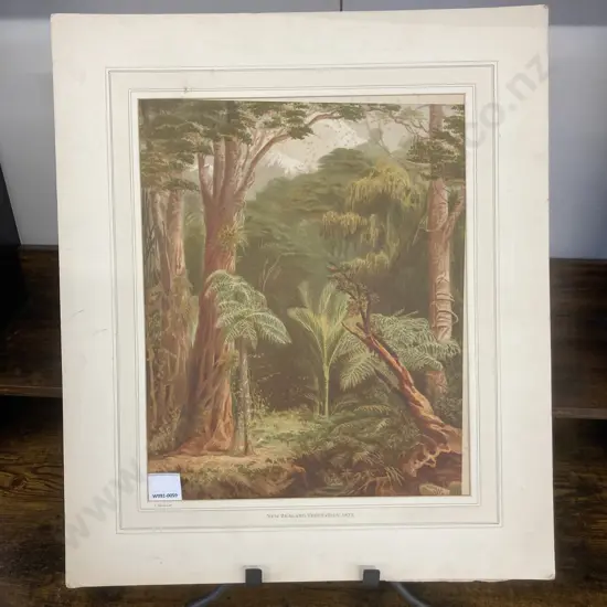 John Gully Print New Zealand Forest Vegetation 1877. 54 x 46cm