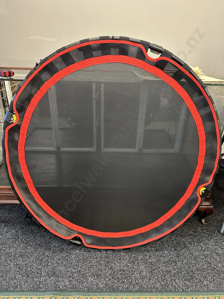 Foldaway Trampoline 48” (can hold up to 350kg weight) Image 1++