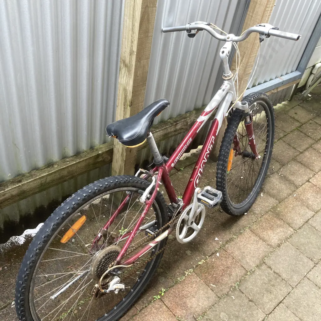 Giant Elwood SE Red & Silver Pushbike Image 1++