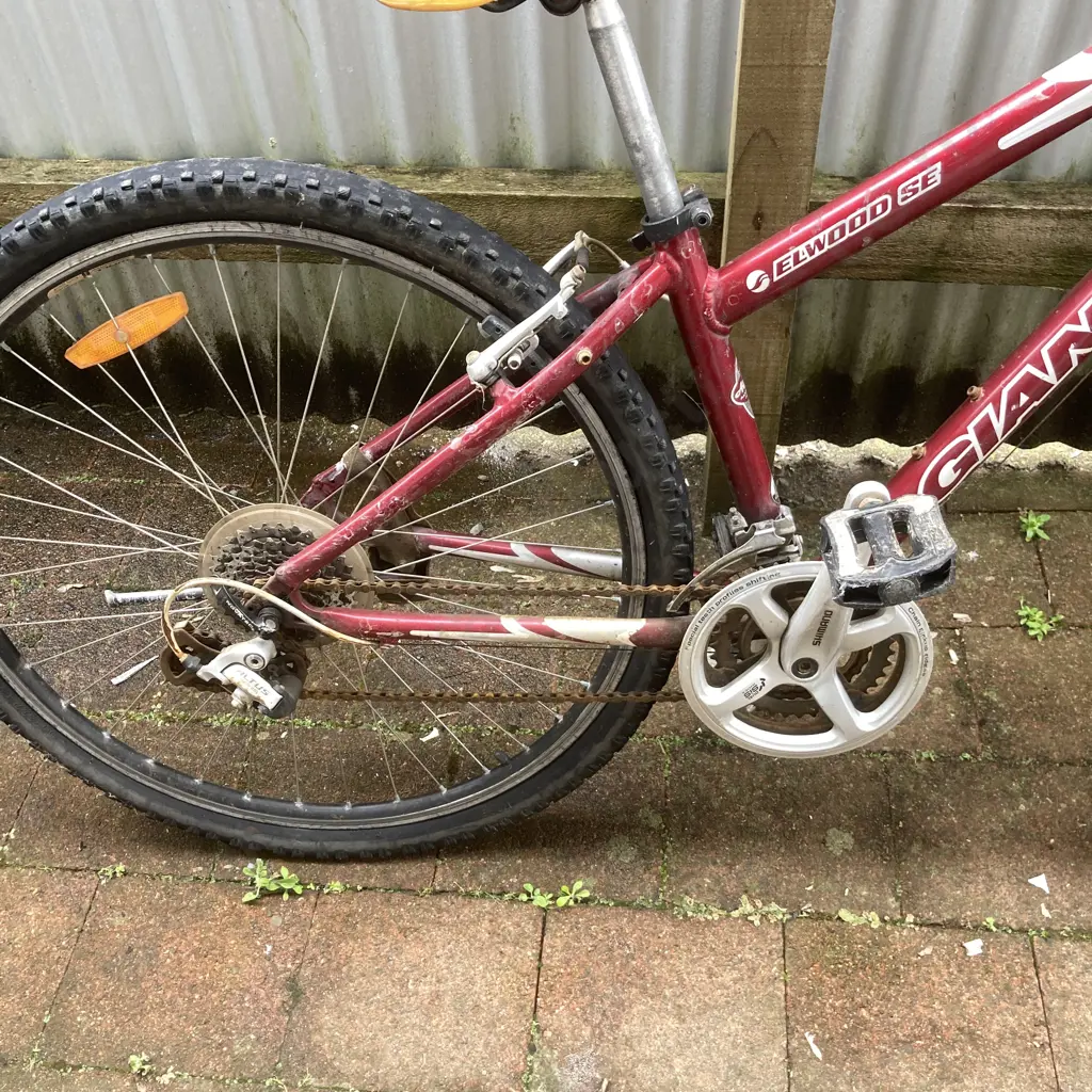 Giant Elwood SE Red & Silver Pushbike Image 1++