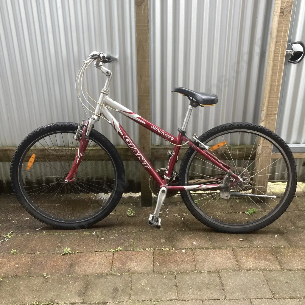 Giant Elwood SE Red & Silver Pushbike Image 1++