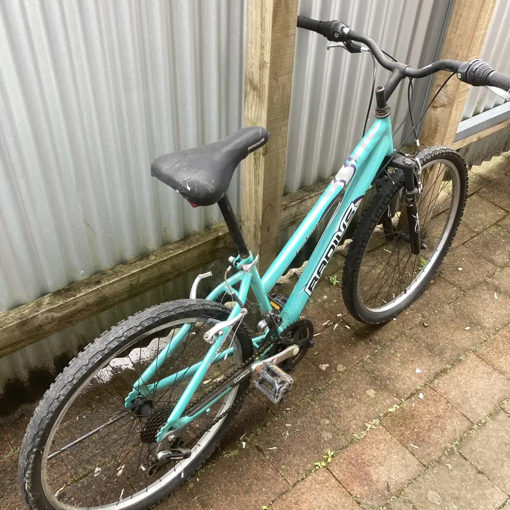 Green Radius Free Spirit Pushbike Image 1++