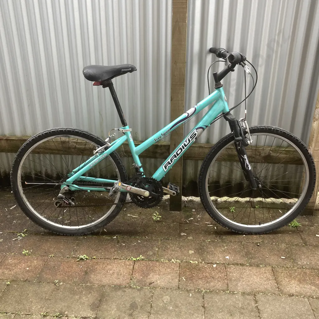 Green Radius Free Spirit Pushbike Image 1++