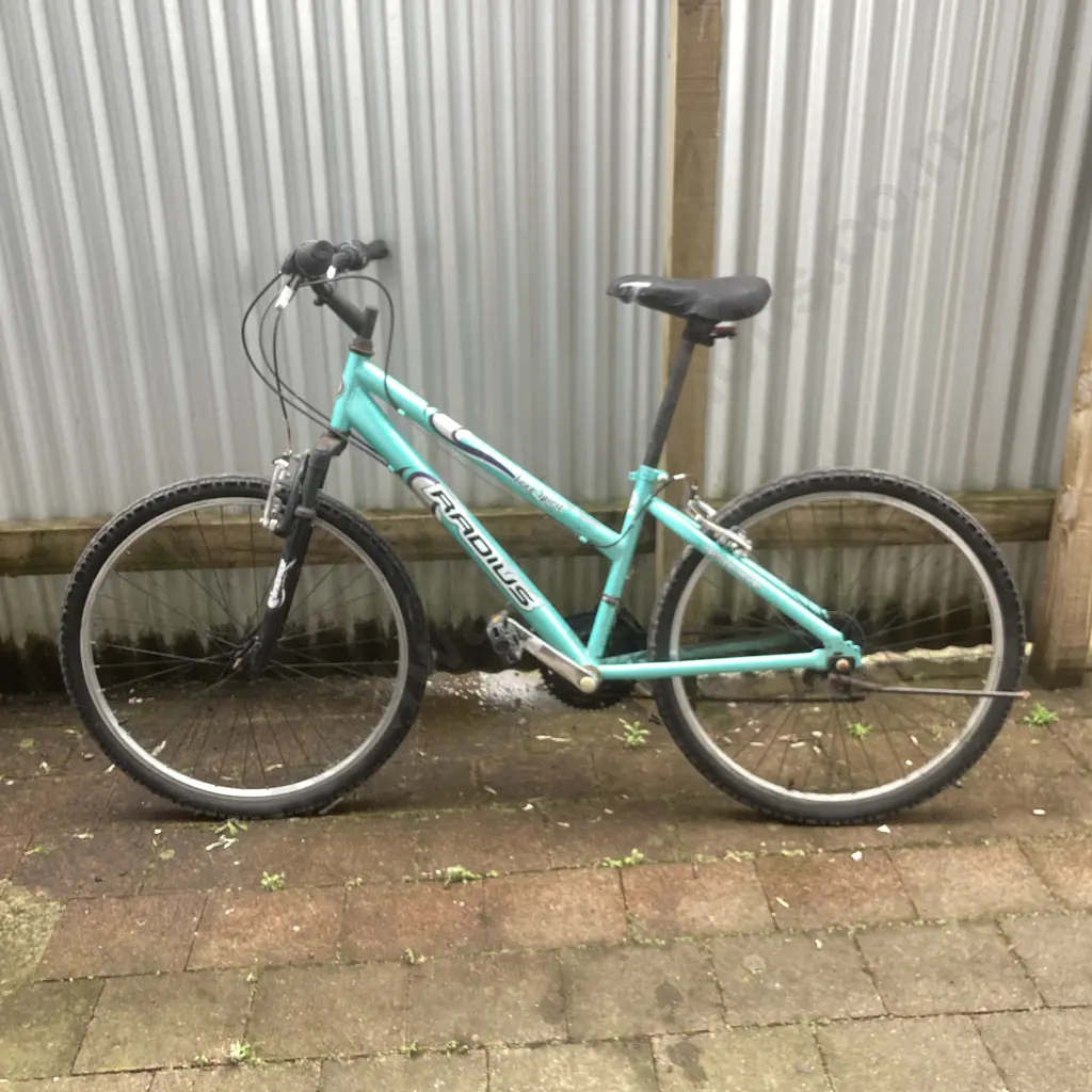 Green Radius Free Spirit Pushbike Image 1++
