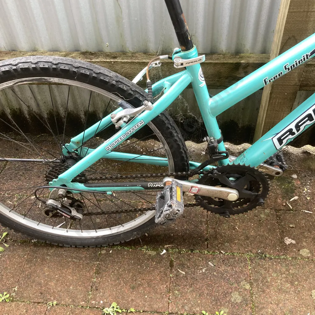 Green Radius Free Spirit Pushbike Image 1++