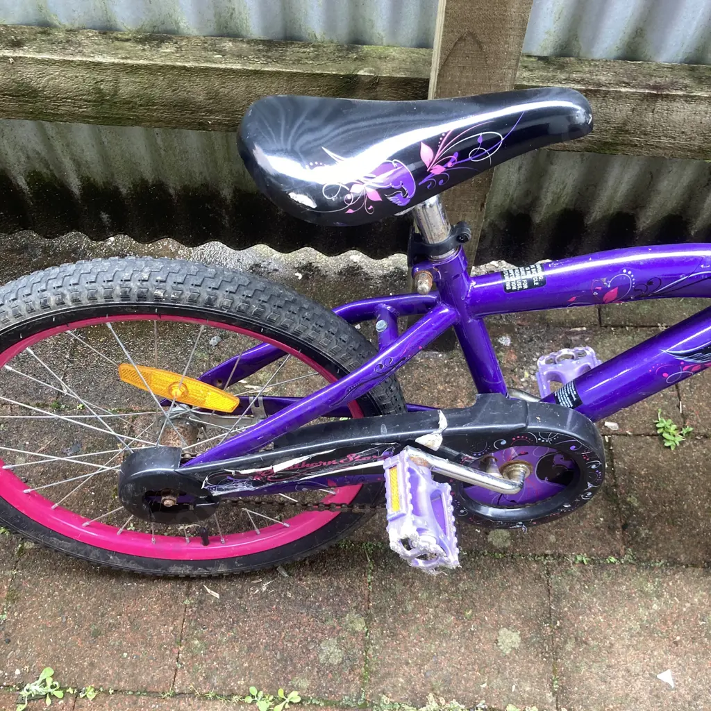 Purple Southern Star Kids Bike Image 1++