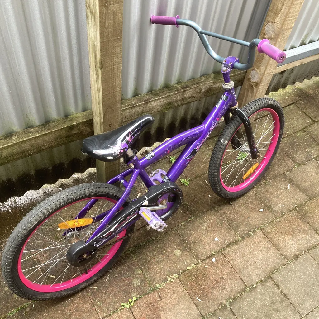 Purple Southern Star Kids Bike Image 1++