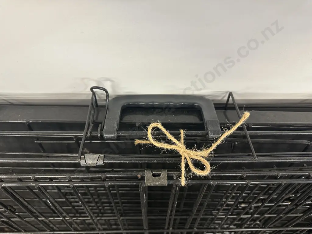 Black Dog Crate Image 1++