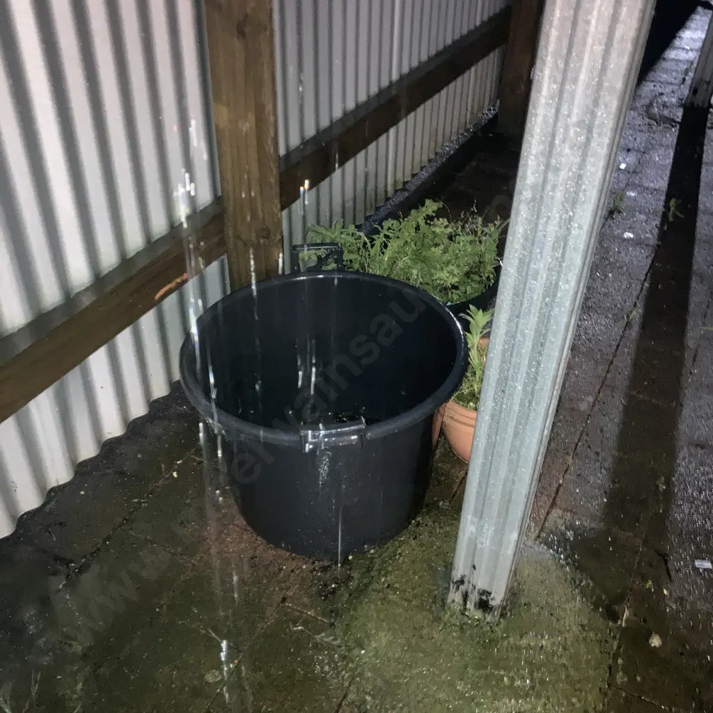 Garden Trug & Assorted Pots & Plants Image 1++