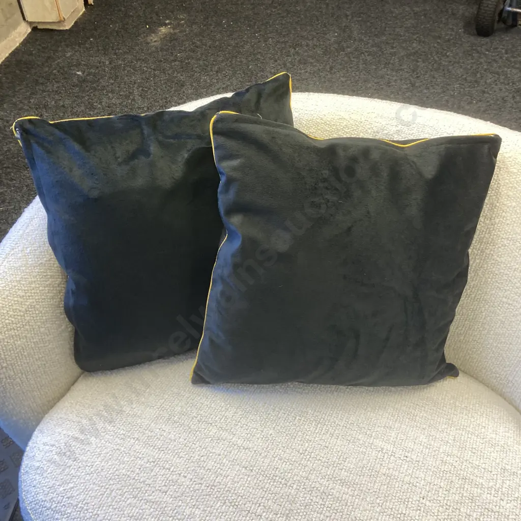 Pair of Gold Feather Designer Cushions. 46 x 46cm Image 1++