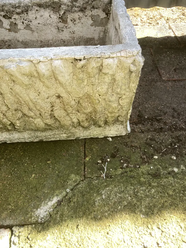 Pair of Vintage Concrete Rectangular Trough Planters. H22 W77 D29cm Image 1++