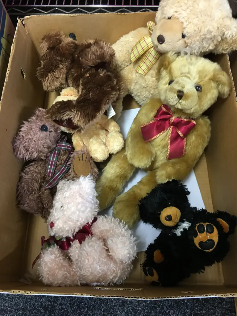 Box Lot Soft Toy Teddy Bears Image 1++