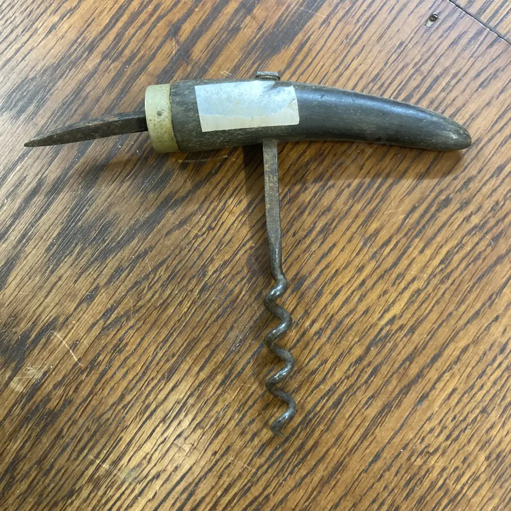 Vintage ADELAIDE Pattern Horn Handle Bottle Opener Corkscrew c1880 Image 1++