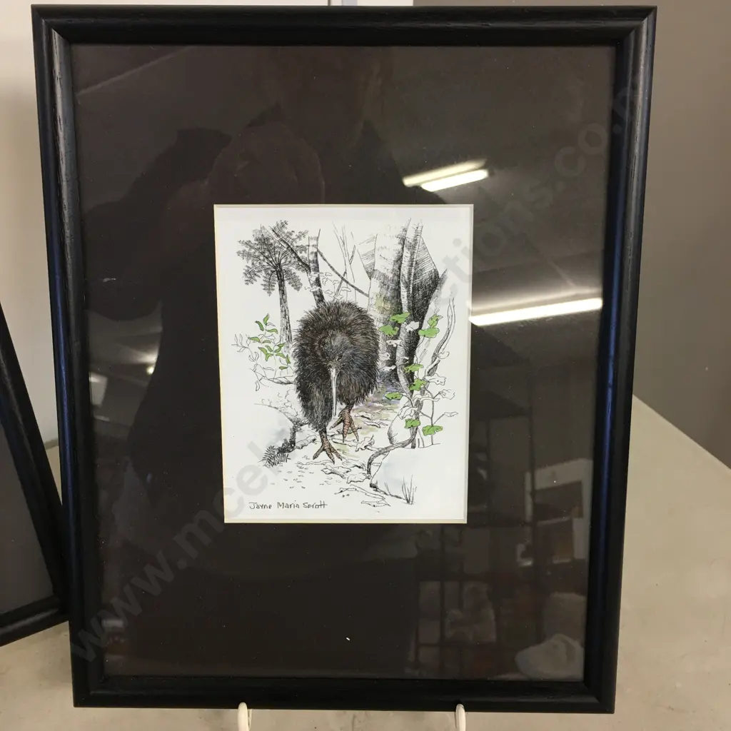 Framed Artwork x3 By Jayne Maria Sprott Of Tui, Pukeko & Kiwi Image 1++