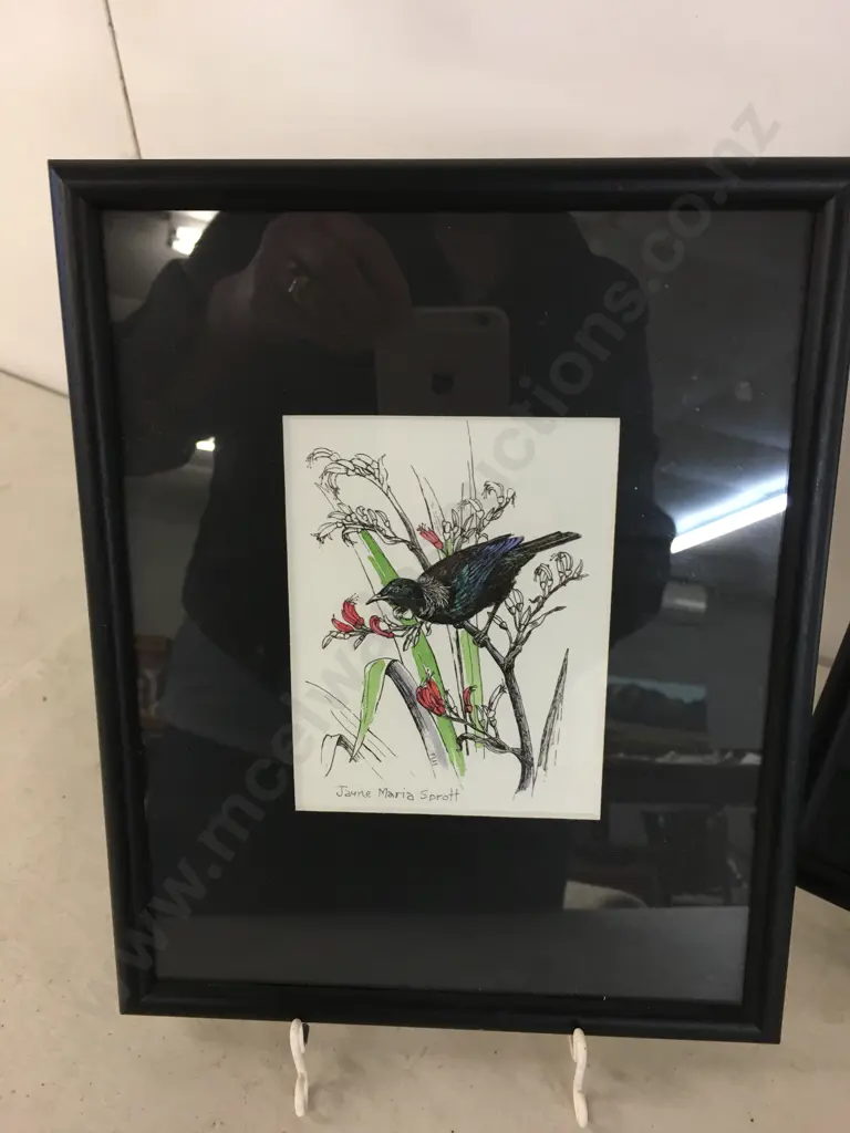 Framed Artwork x3 By Jayne Maria Sprott Of Tui, Pukeko & Kiwi Image 1++